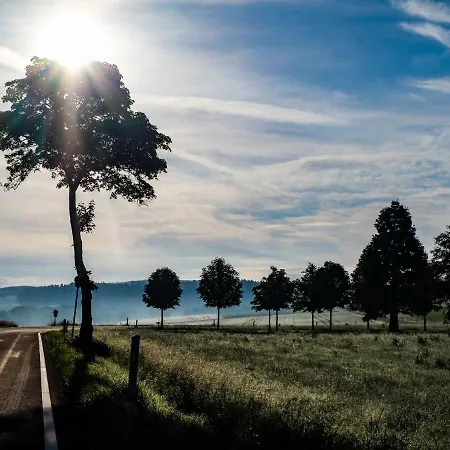 Reinskopf-2 By Interhome Appartement Schönecken