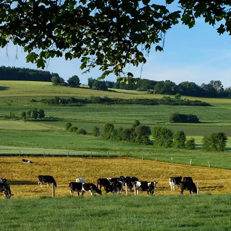 Reinskopf-2 By Interhome *