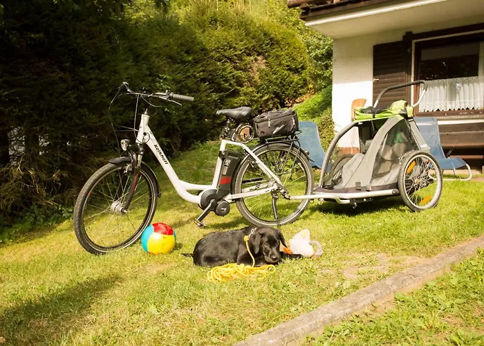 Reinskopf-2 By Interhome Apartamento *