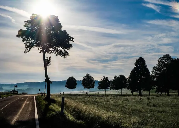 Reinskopf-2 By Interhome Apartamento Schönecken