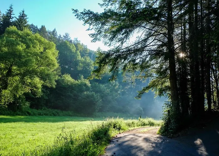 Reinskopf-2 By Interhome * Schönecken